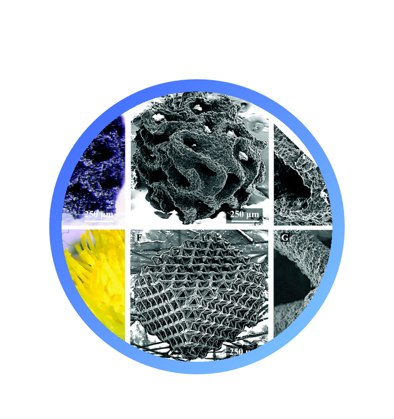 Hierarchical Structures